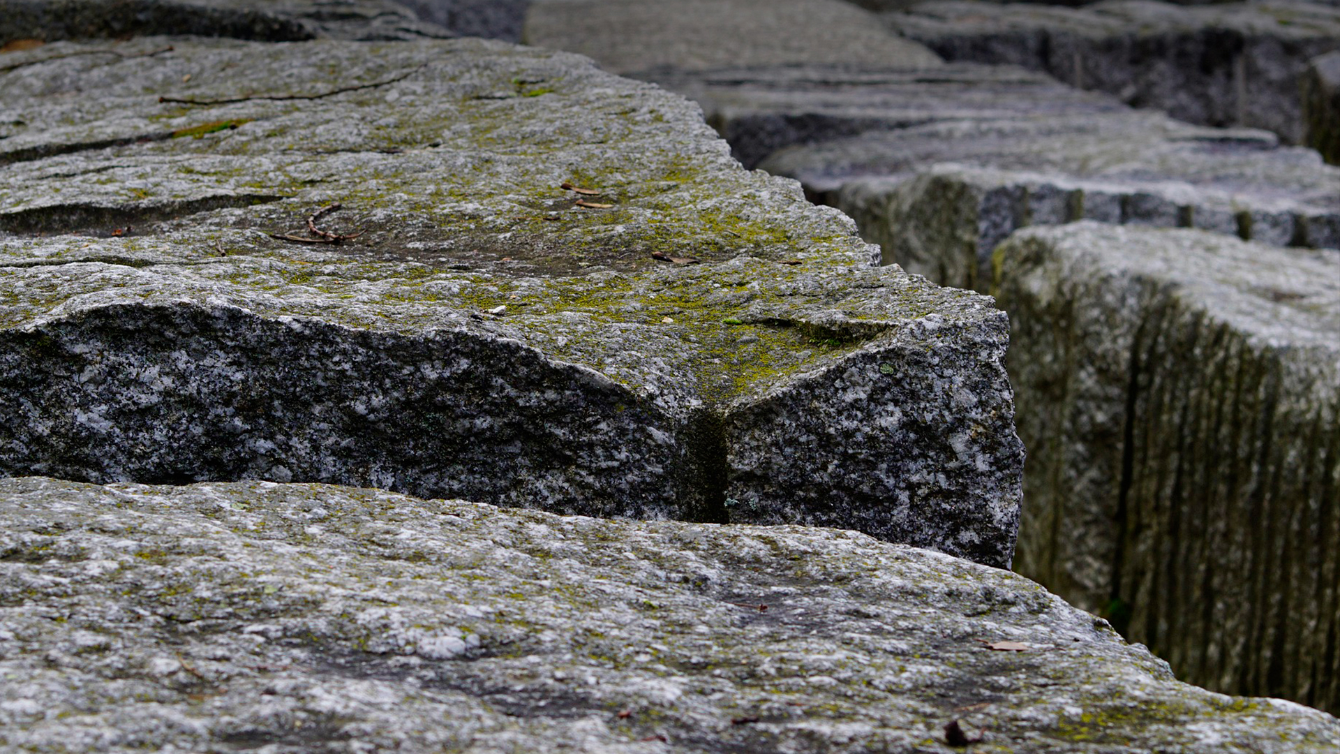 Pierre naturelle ou reconstituée : laquelle choisir pour un intérieur élégant ?